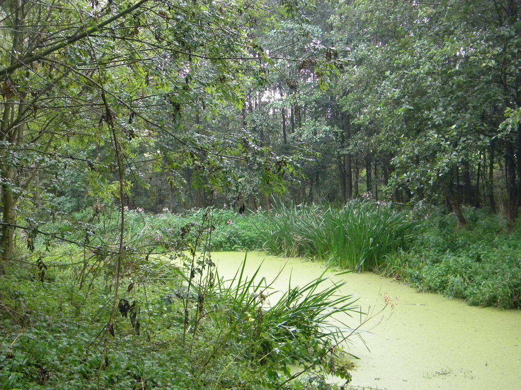Petrus Wittebrood Hoeve Dikkelvenne Buitenkant foto