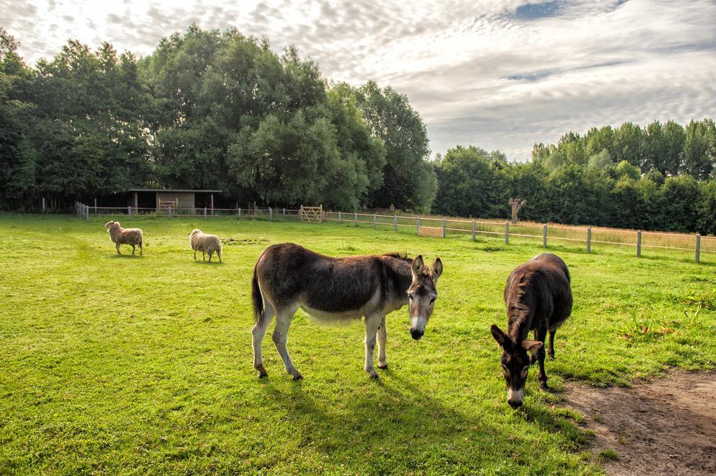 Petrus Wittebrood Hoeve Dikkelvenne Buitenkant foto